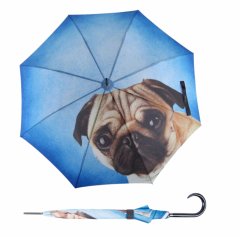 Doppler Modern Art Lazy Dog