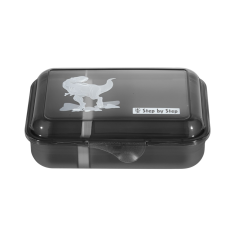 Step by Step Lunch box Wild T-Rex Taro