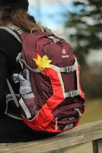 Deuter Trans Alpine 26 SL