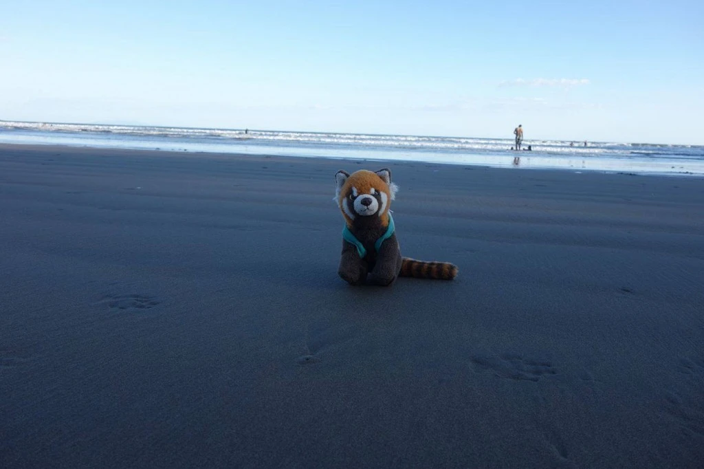 panda rolleren