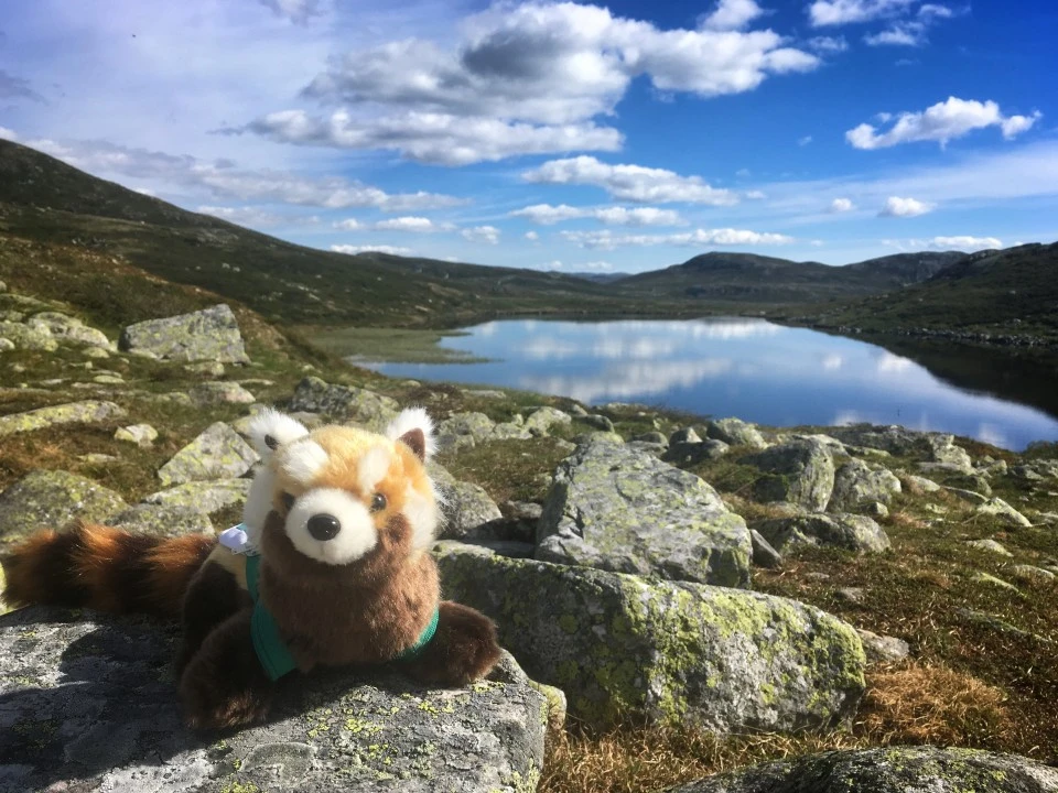 Norway expedíció - táj
