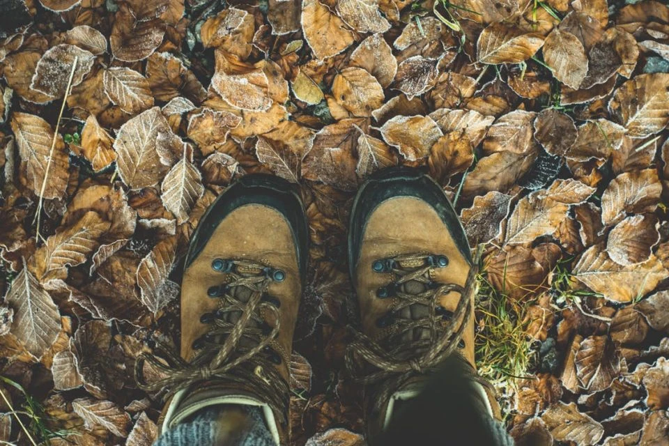 Trekking - természetjárás