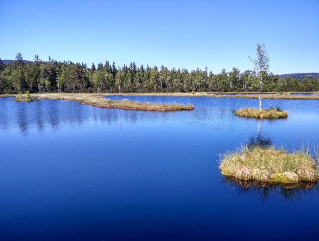 Chalupská-láp Šumava