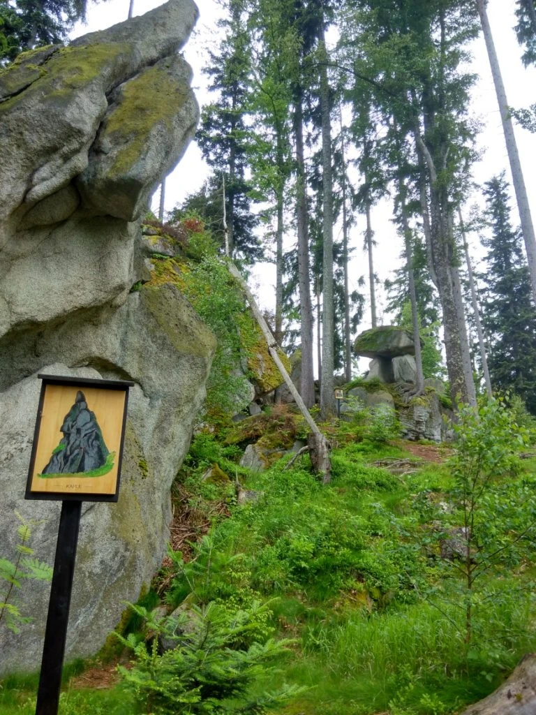Šumava - Medve tanösvény