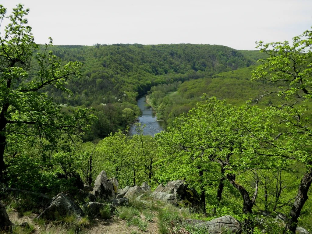 Podyjí Nemzeti Park